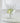 Wine Glass Rambling Vine Etched - Bumble Living